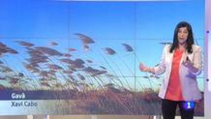 L'Informatiu - El temps - 4/03/2014