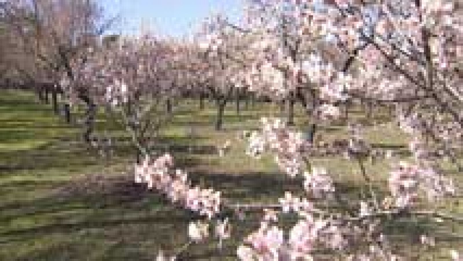 Informativo de Madrid 2 - 04/03/14