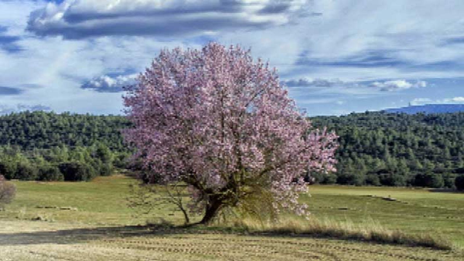 Las temperaturas diurnas en ligero a moderado ascenso