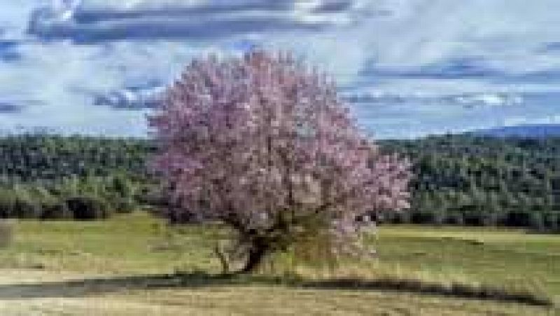 Las temperaturas diurnas en ligero a moderado ascenso