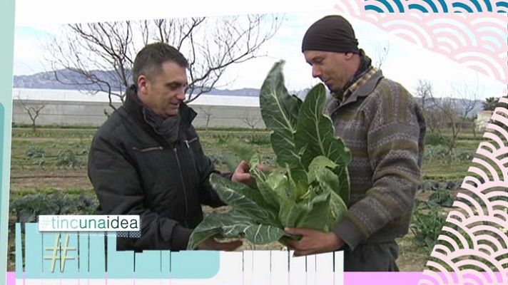 Tinc una idea - Tinc una idea - 9/03/2014