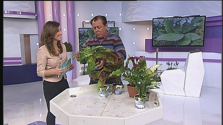 Cerca de ti - Cerca de ti - 06/03/14