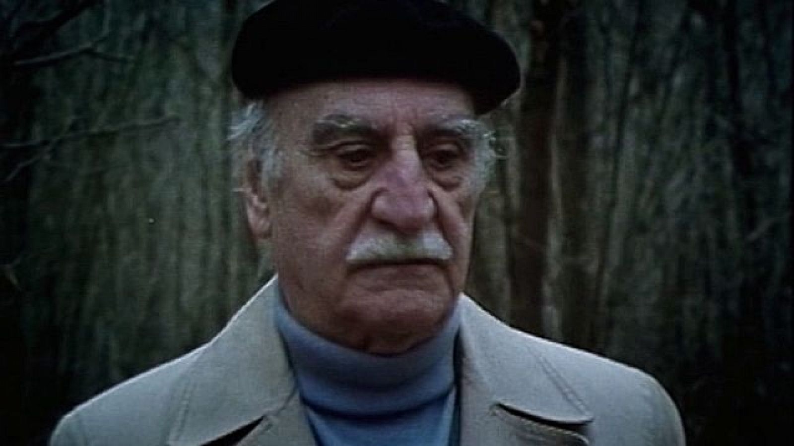 Francisco Ayala: Escritor Público