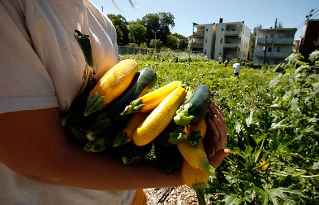  - Causas de la gran subida