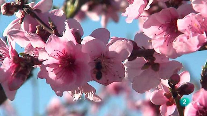 Agrosfera - Agrosfera - 08/03/14