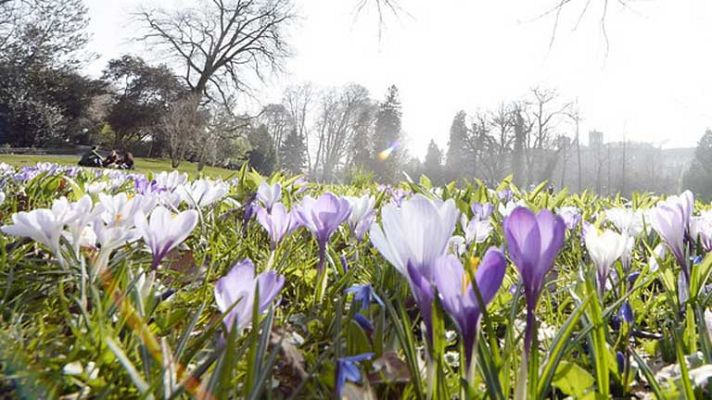El tiempo - Mañana, viento muy fuerte en El Estrecho y chubascos en Canarias