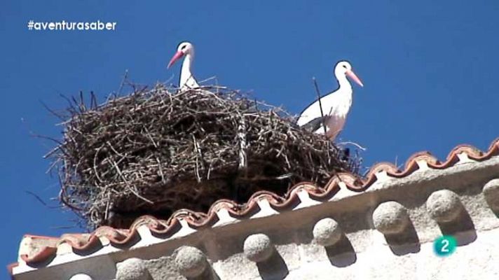 La aventura del Saber - La aventura del saber - 10/03/14