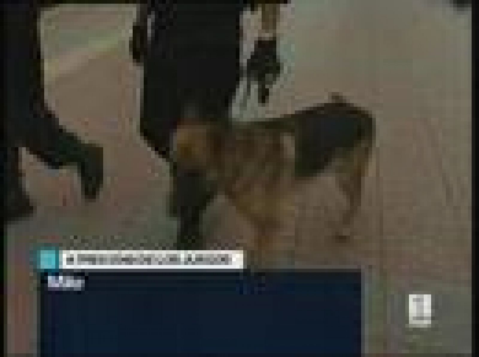 Telediario 2 en cuatro minutos - 05/08/08 | Ver