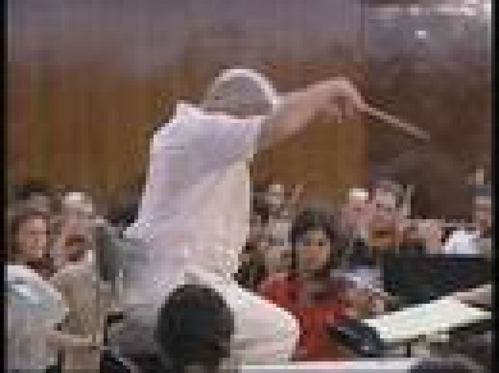 La Orquesta West-Eastern Divan dirigida por Barenboim en la Plaza Mayor | Ver