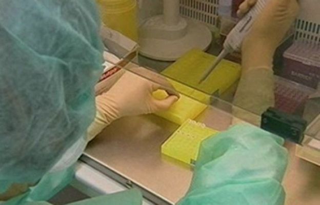 Ciencia y tecnología en Rtve.es - La selección genética, una realidad