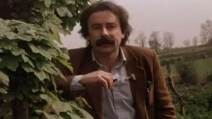 Esta es mi tierra - Asturias de Juan Cueto