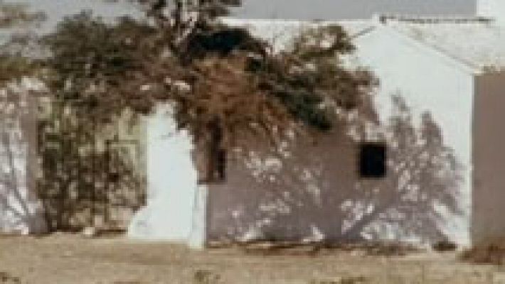 Esta es mi tierra - Tomelloso de Francisco García Pavón