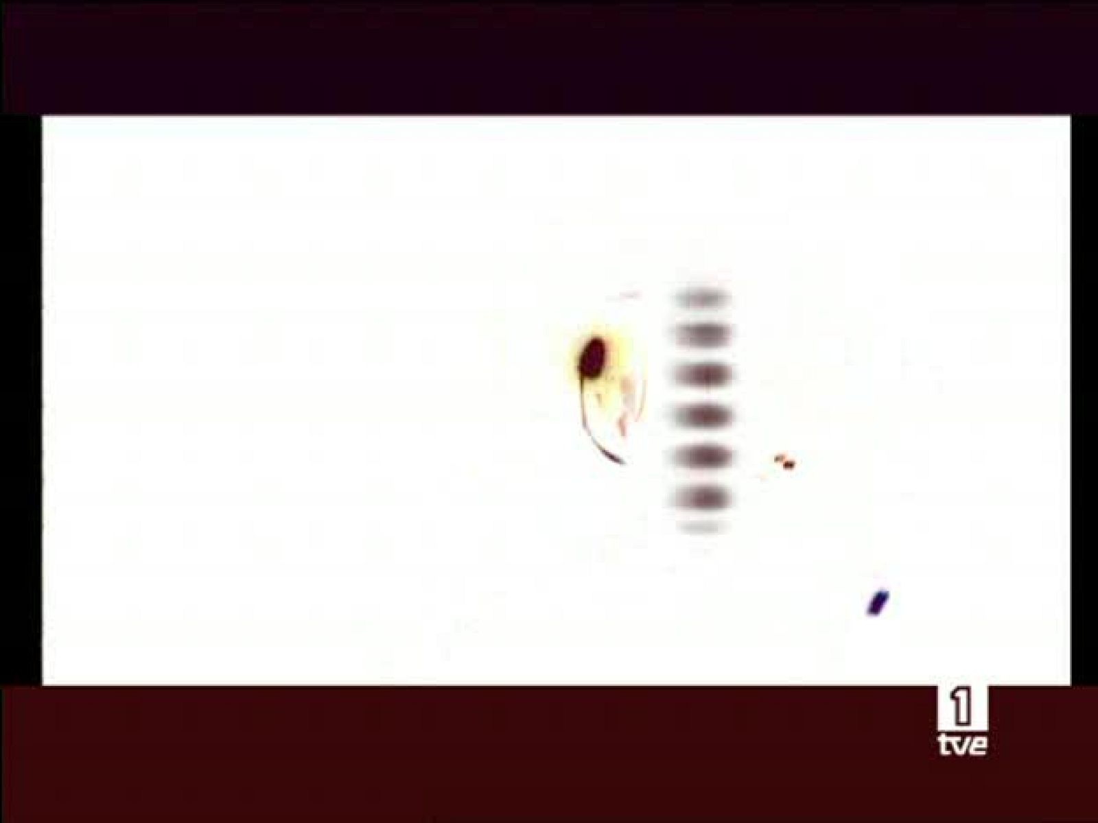 Así se hizo - La momia, el templo del emperador - Así se hizo | Ver