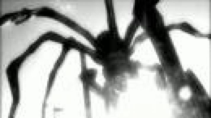 Versión española - Los referentes del cine de Dunia Ayaso y Félix Sabroso