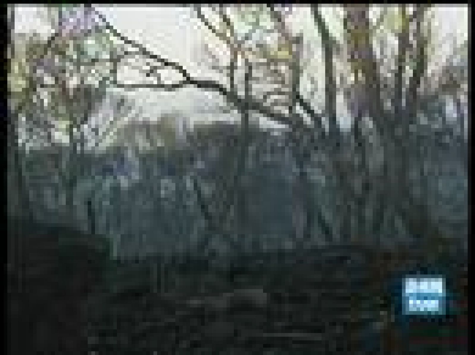 Sigue incontrolado el fuego en Zuera (Zaragoza) que ha quemado 2.000 hectáreas.