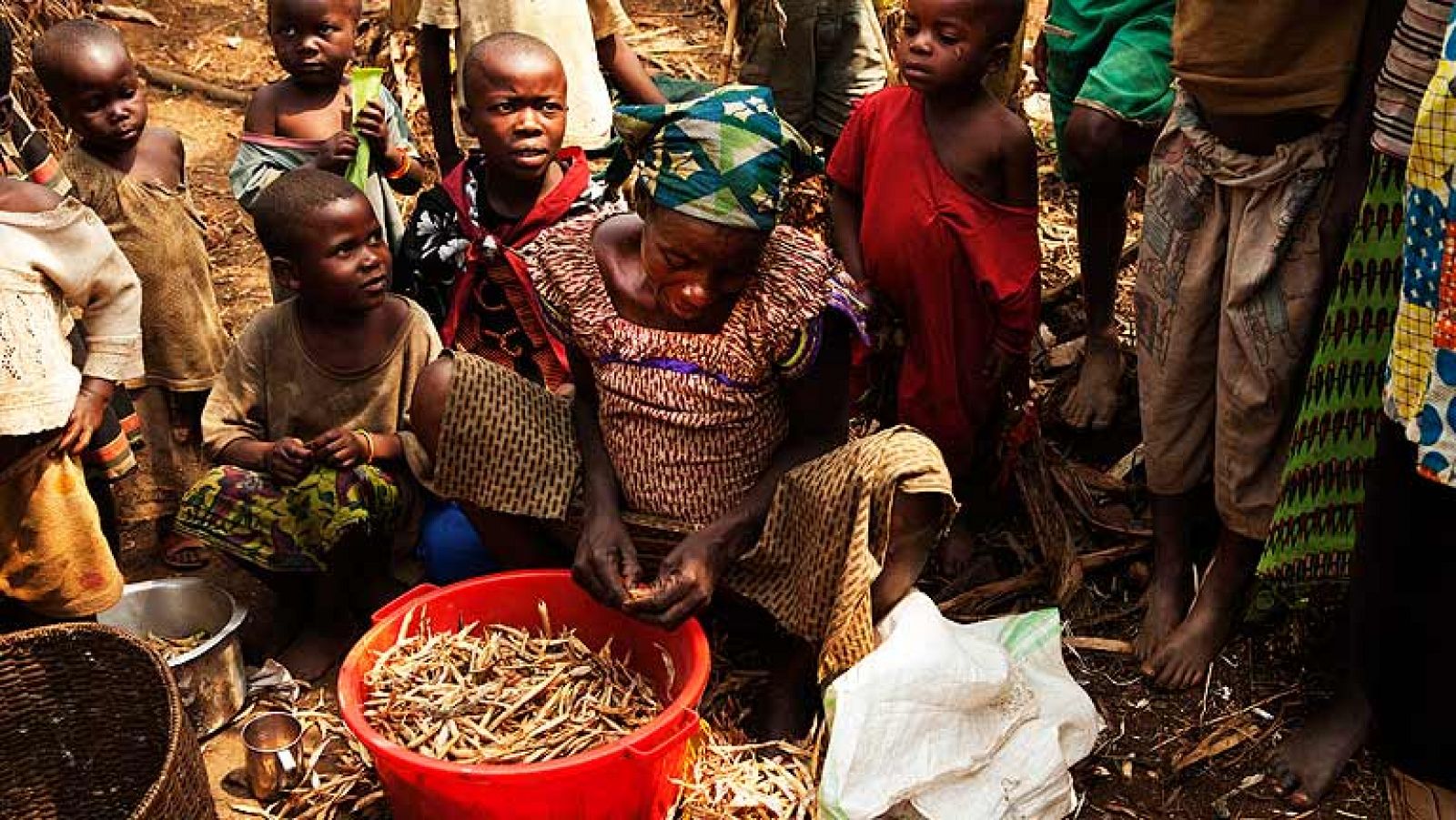 La tarde en 24h: La República Democrática del Congo, un conflicto que no cesa  | RTVE Play