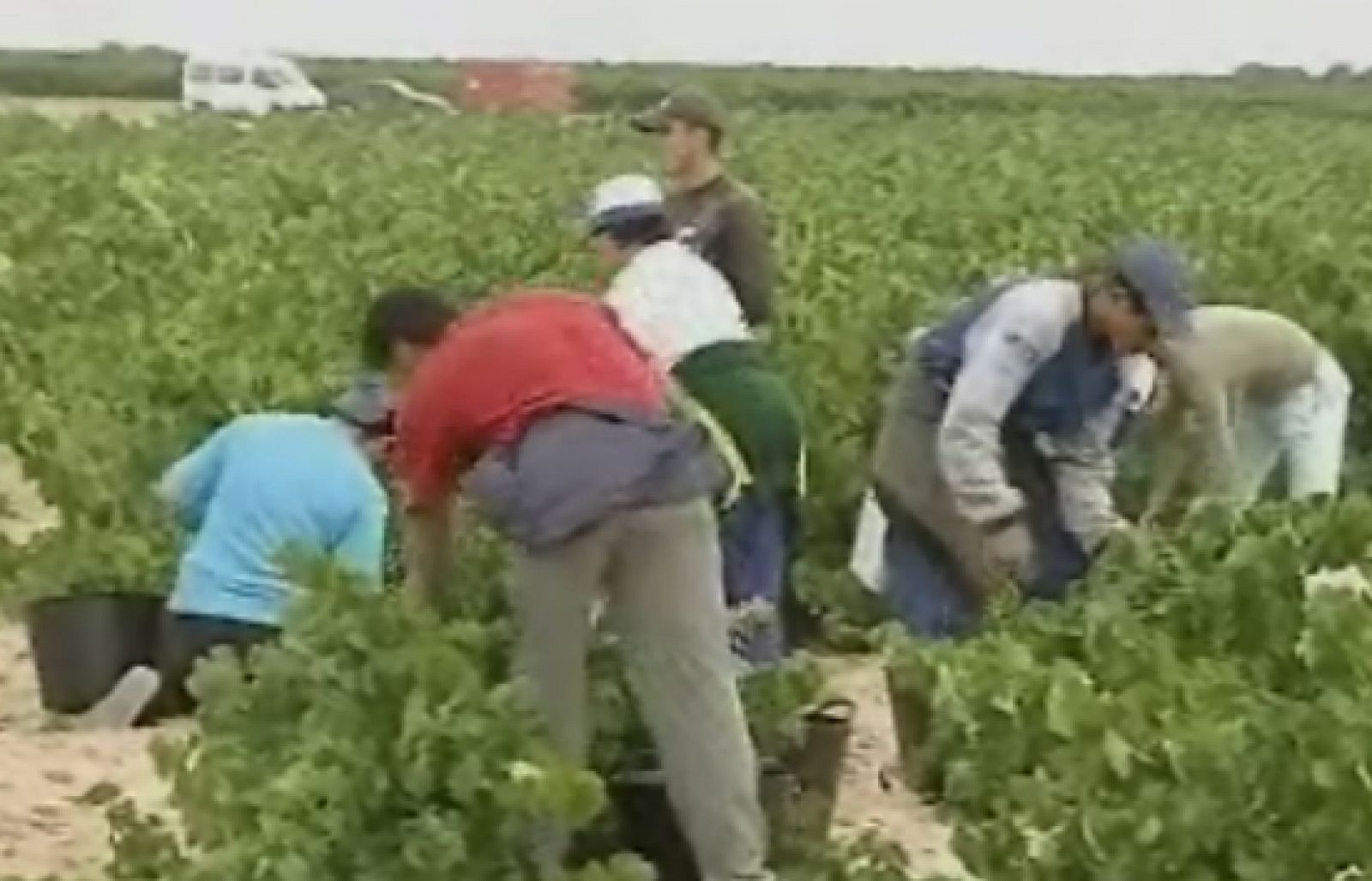 Más de dos millones de inmigrantes están afiliados a la Seguridad Social | Ver