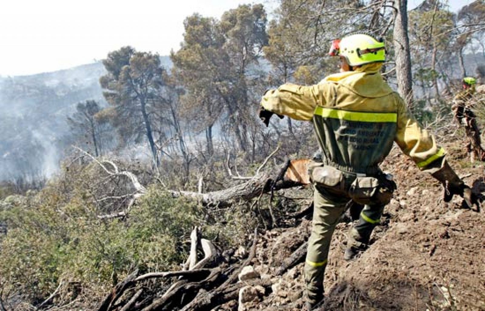 Sin programa: Primer gran incendio del verano | RTVE Play