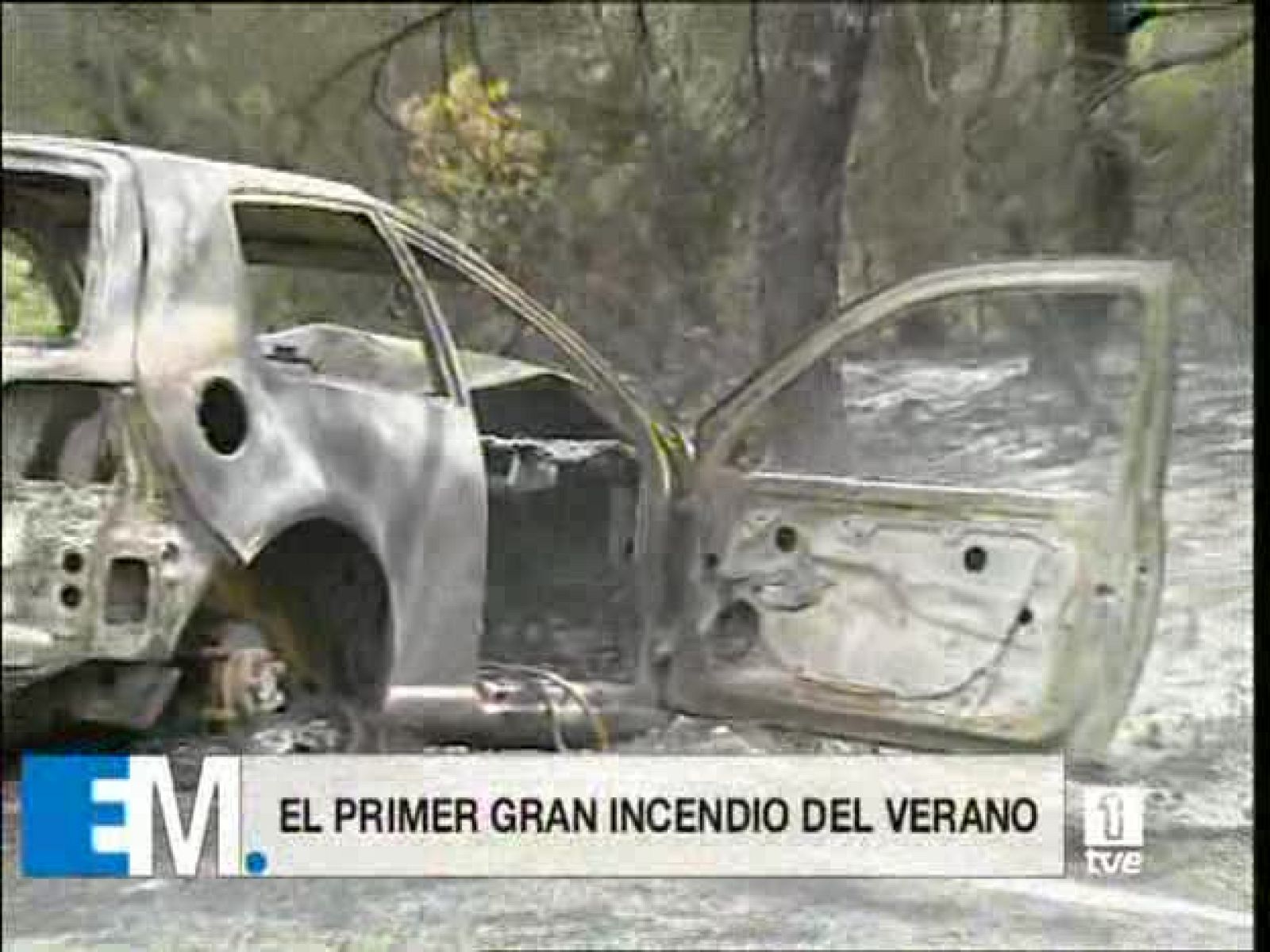 Esta mañana de verano - 06/08/08 - Esta mañana de verano | Ver