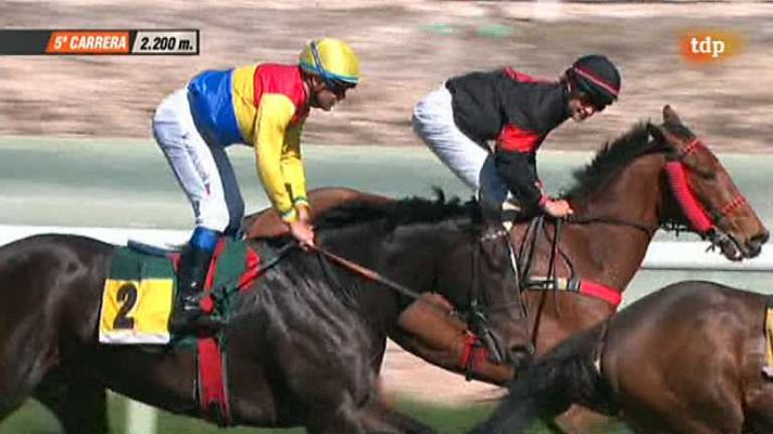 Turf - Turf - 17/03/14