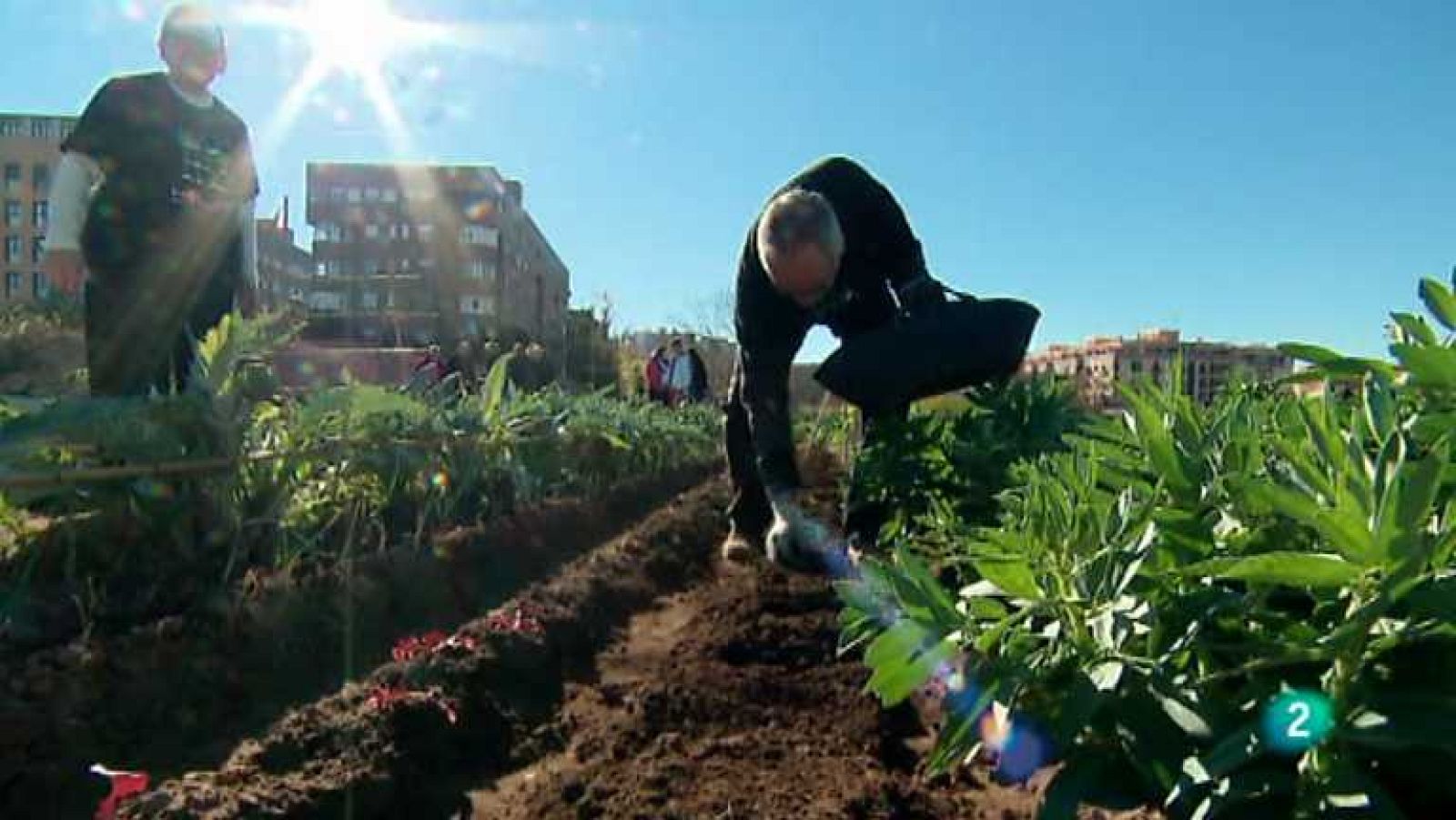 La aventura del saber  - 17/03/14-  Ver ahora