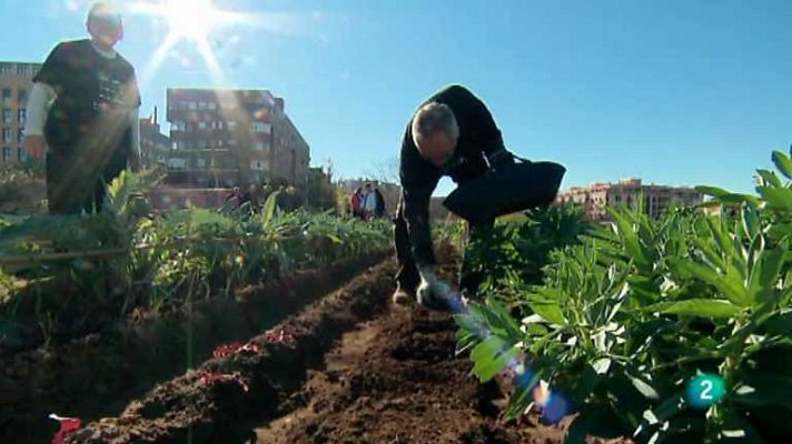 La aventura del Saber - La aventura del saber  - 17/03/14