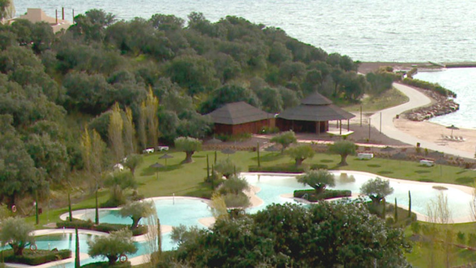 ¿Qué hacemos con la finca?