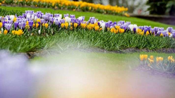 Informativo de Madrid - El tiempo en la Comunidad de Madrid - 20/03/14