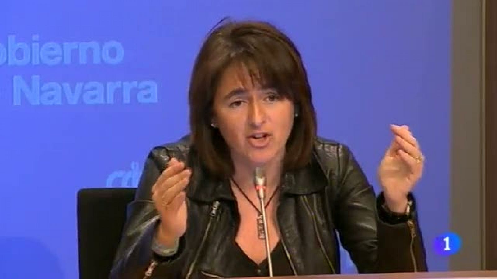 Telenavarra - 20/03/2014 | Ver