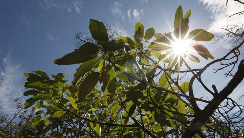 Despedimos el invierno con tiempo primaveral y recibimos la primavera con tiempo invernal 