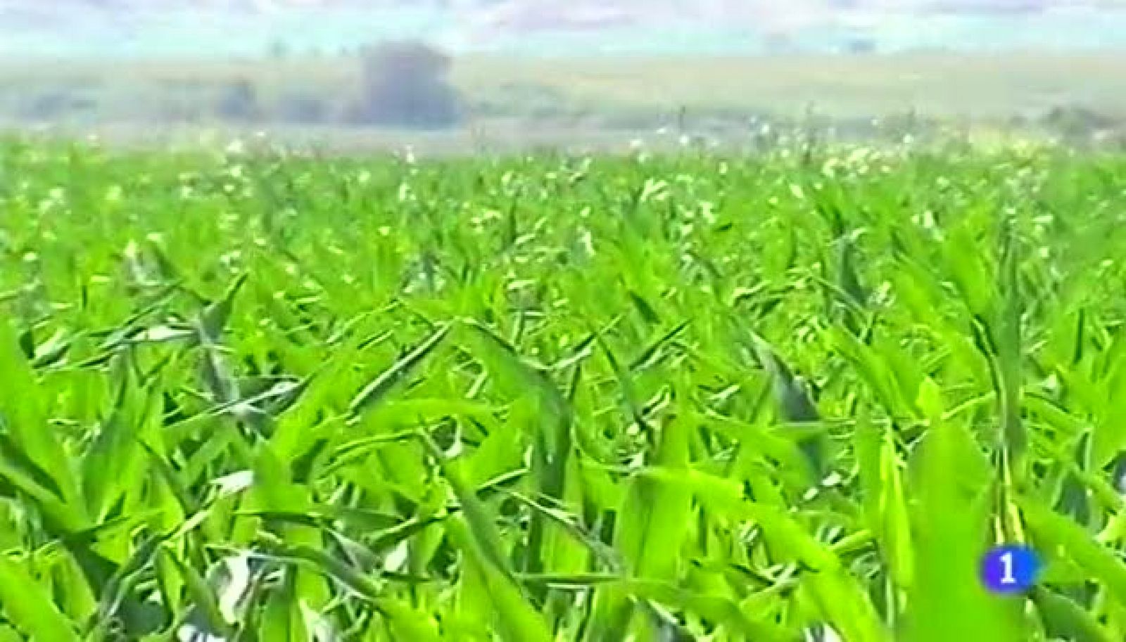 Noticias Aragón 2 - 20/03/14 | Ver