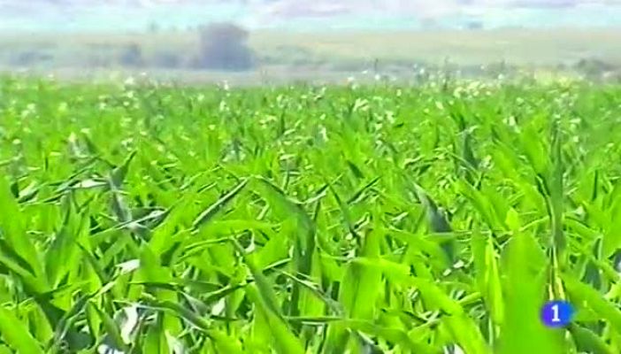 Noticias Aragón - Noticias Aragón 2 - 20/03/14