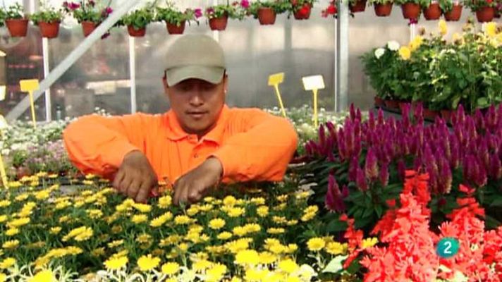 Aquí hay trabajo - Aquí hay trabajo - 21/03/14