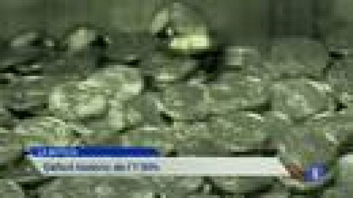 Informatiu Balear - Informatiu Balear en 2' - 21/03/14