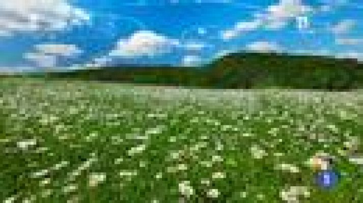 TeleCantabria - El tiempo en Cantabria - 21/03/14