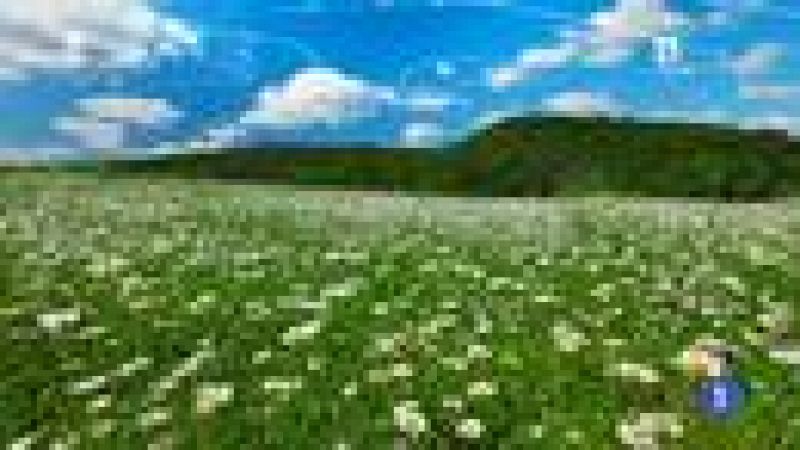  El tiempo en Cantabria - 21/03/14