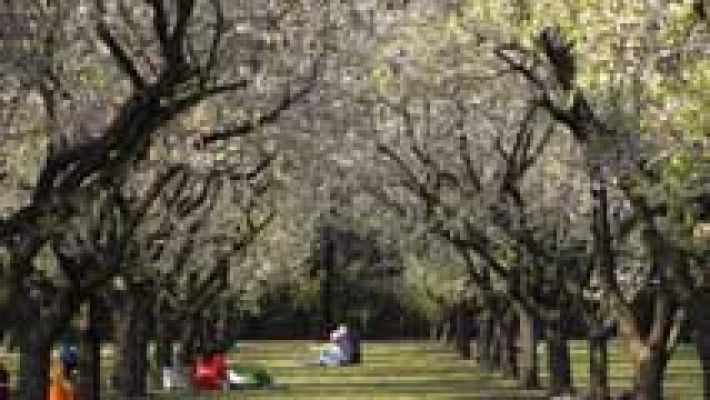 El tiempo - Nubes altas en el extremo sur del mediterráneo