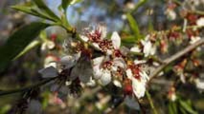 El tiempo - Nuboso en el norte con nieve en cotas bajas y descenso térmico