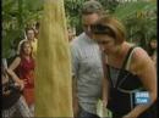  - La flor más grande del mundo