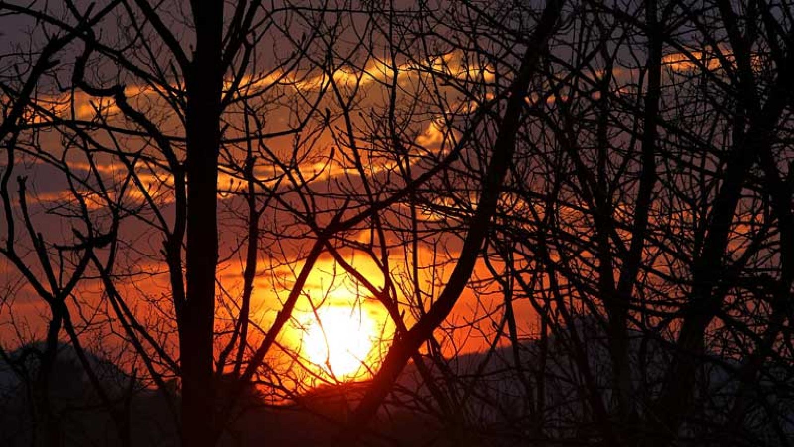 Precipitaciones débiles a moderadas y ocasionalmente con tormenta