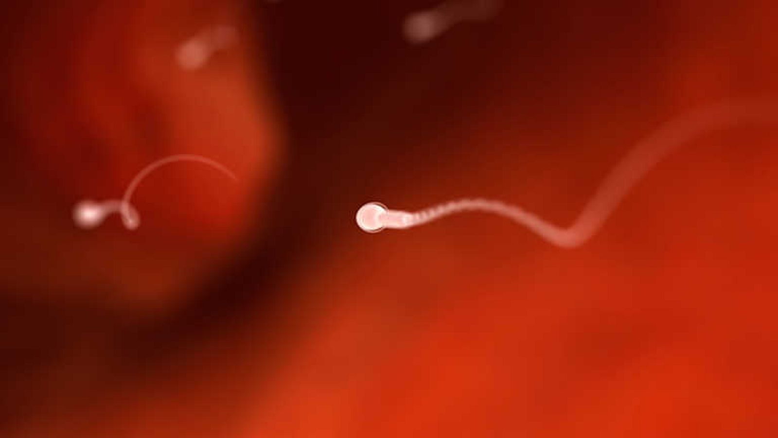 La noche temática - Hombres en peligro - ver ahora