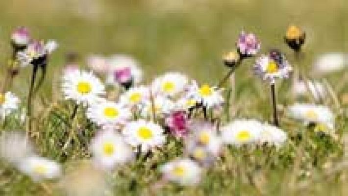 El tiempo - Subida ligera de las temperaturas diurnas, más en el este y noreste