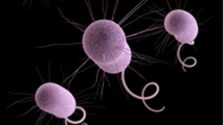 Una bacteria de pesadilla - Avance