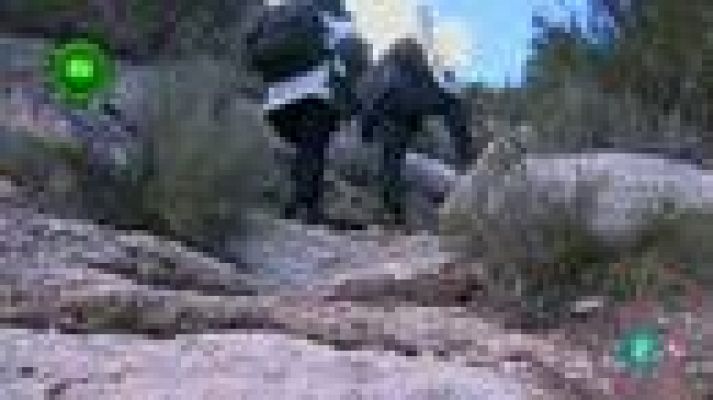 Agrosfera - Campos de Hellín (Albacete)