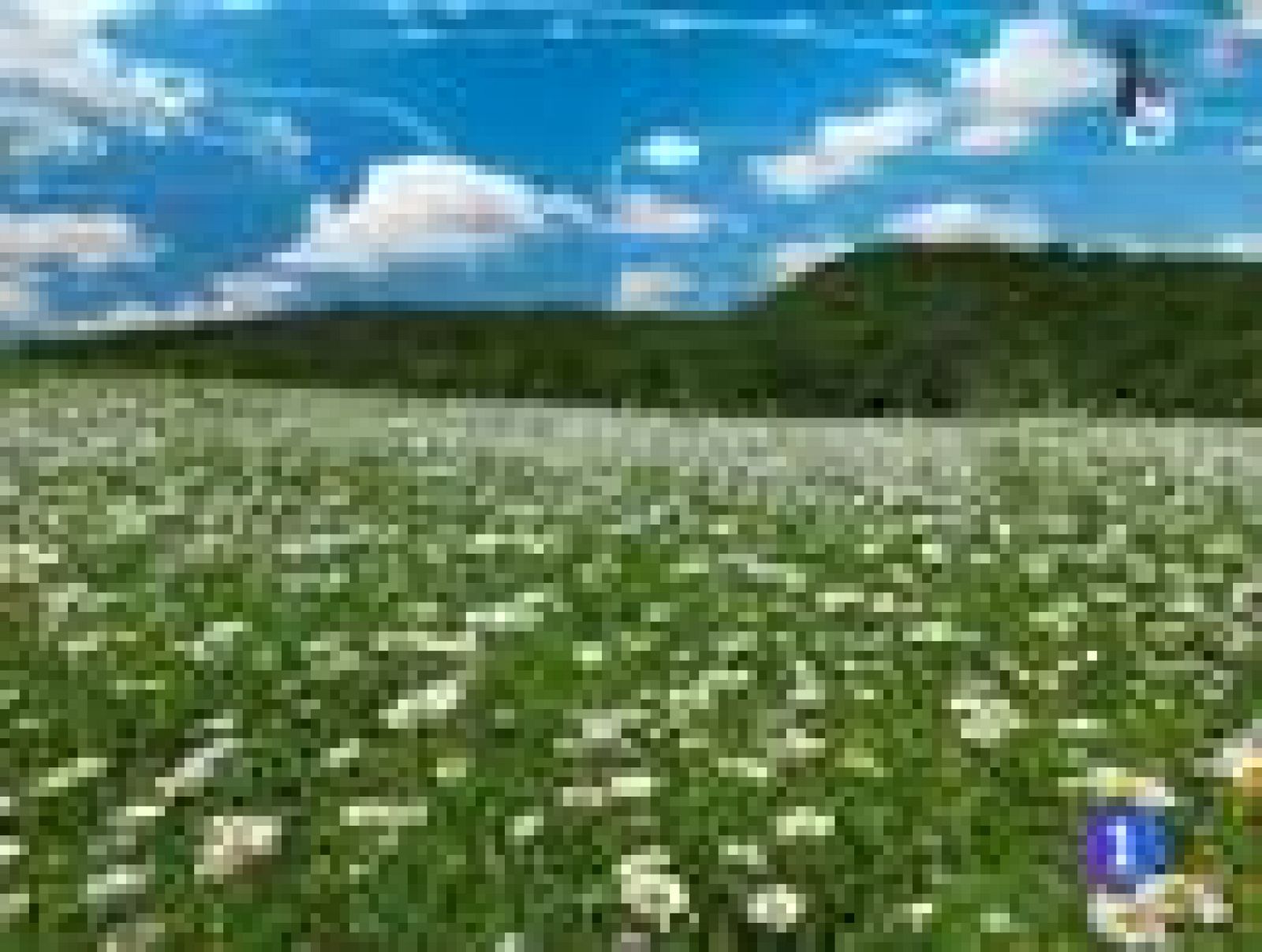 El tiempo en La Rioja - 24/03/14 | Ver