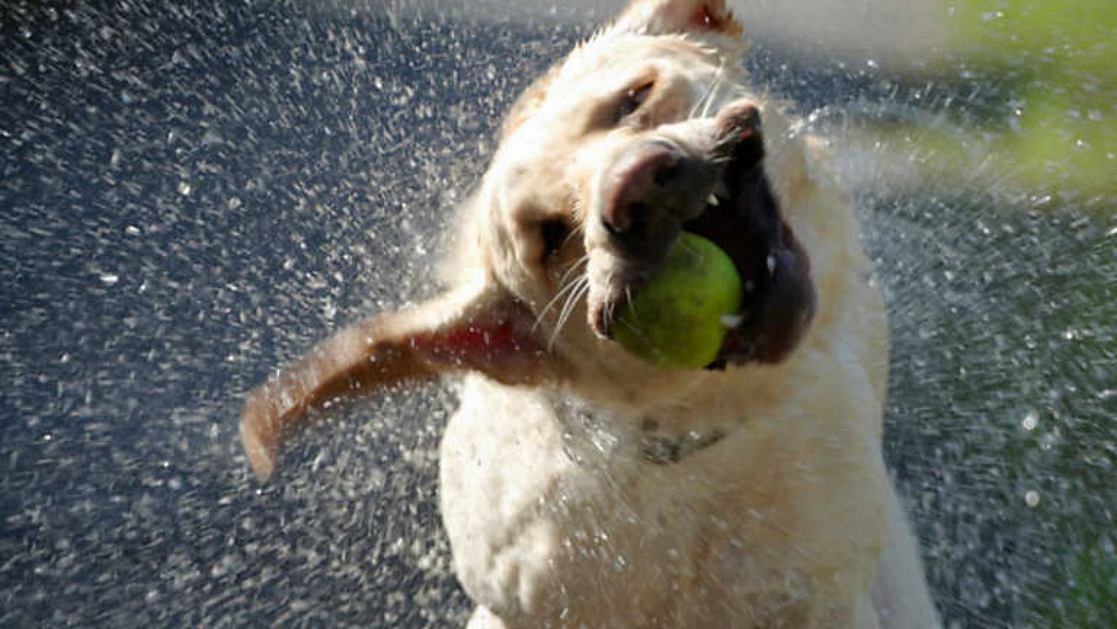 Docufilia - El universo invisible: Revelaciones ocultas - ver ahora