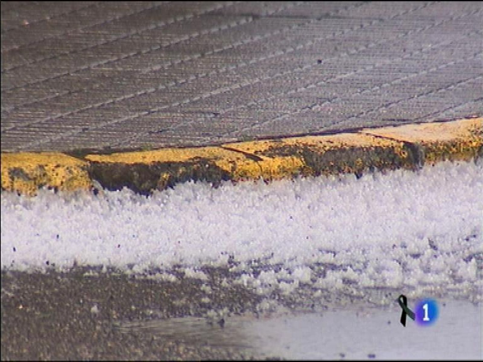 El tiempo en Asturias - 25/03/14 | Ver