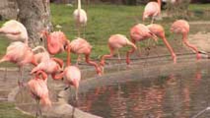 Informativo de Madrid - Informativo de Madrid 2 - 25/03/14