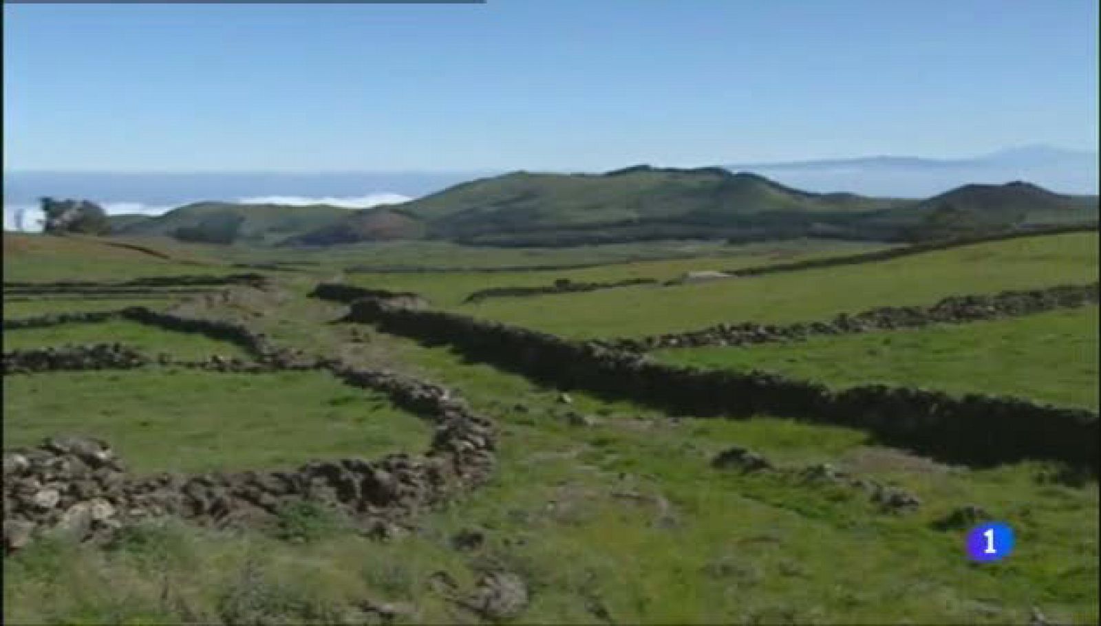 Aulaga - Camino de la Virgen - El Hierro