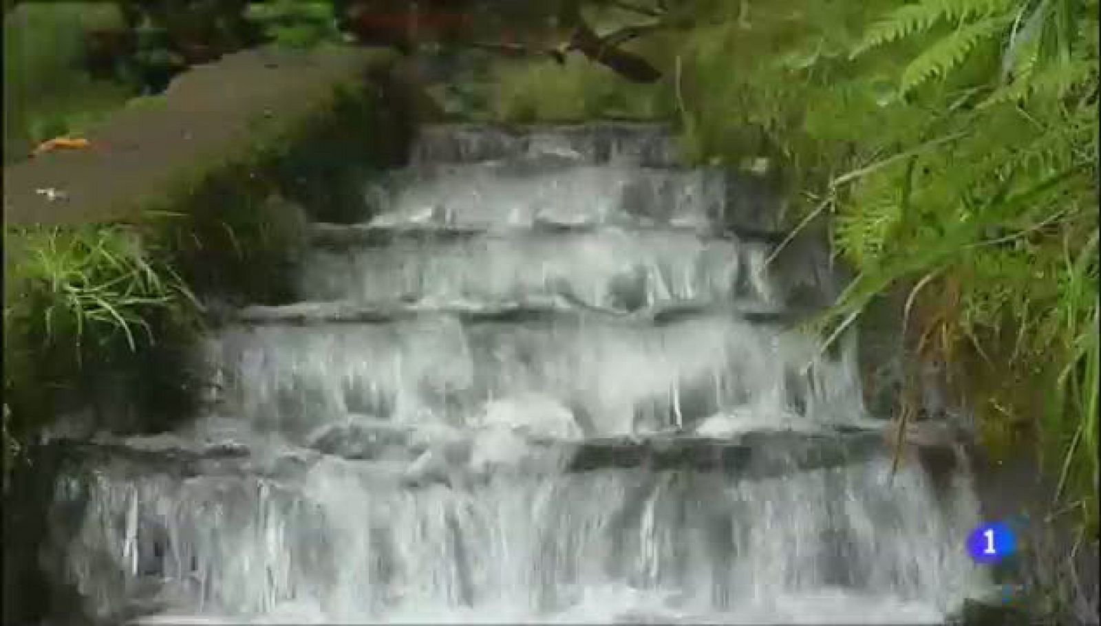 Aulaga - Levada das 25 Fontes - Madeira